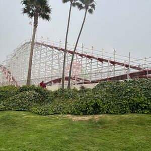 Meet your Posher, Allyson